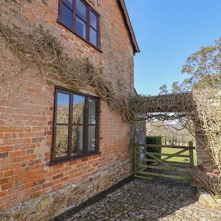 Vine Cottage Musbury Exteriör bild